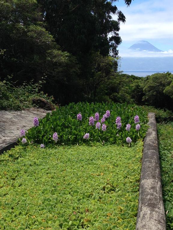 Make It Happen Farm Villa Urzelina ภายนอก รูปภาพ